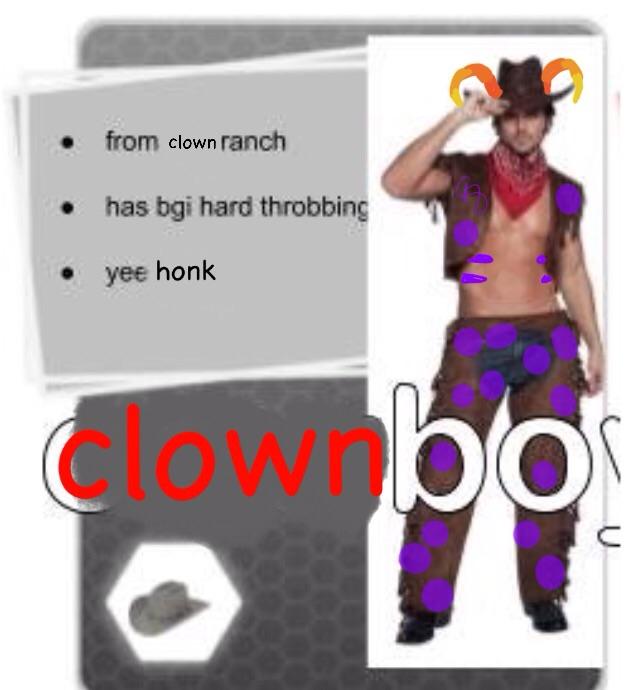 cowboy_hat fantroll honk image_manipulation solo text this_is_stupid yeehonkcowboy