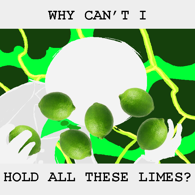 animated doc_scratch food meme solo transparent wariofan63 why_can't_i_hold_all_these_limes?