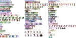 image_thumb