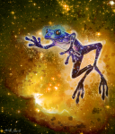  2013 bilious_slick fullres miirshroom solo stars 