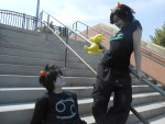  2014 adorabloodthirsty cosplay fullres gaaraobsser imleadinginmyhead karkat_vantas lemonsnout neckfruit real_life redrom scalemates shipping starter_outfit terezi_pyrope 