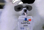  1s_th1s_you 2026 animalstuck apple_juice bro c4rmy_hs dave_strider fullres head_out_of_frame image_manipulation text 