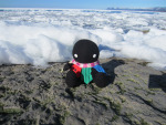 2013 cd clubs courtyard_droll crafts fullres harlequin_uniform no_hat plushie real_life solo tayatagi