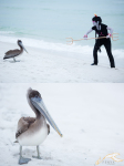  animals cosplay dancestors fenyxdesign meenah_peixes ocean psidon&#039;s_trident real_life solo winter 