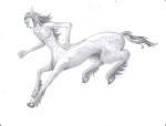  centaurs equius_zahhak grayscale mythologystuck ookamiotoko solo 