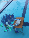 2025 book feferi_peixes fullres image_manipulation pastabaguette sitting solo starter_outfit underwater