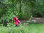  cosplay hk-homestuck real_life solo squiddles trees wut you_gonna_get_cuddled 