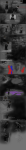  2010 alternia blood bravesaintsaturn comic computer crabdad crabdadsprite dave_strider fullres grayscale highlight_color john_egbert karkat_vantas lusus lyricstuck shaon sickle silhouette spirograph starter_outfit text 