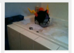  artist_needed cosplay eridan_ampora omegle real_life solo 