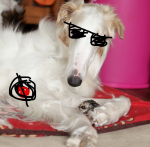  1s_th1s_you 2024 animalstuck dave_strider fullres image_manipulation lying native_source scoundrellyfeline solo 