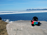  2013 cd clubs courtyard_droll crafts fullres harlequin_uniform no_hat plushie real_life solo tayatagi 