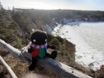 2013 cd clubs courtyard_droll crafts fullres harlequin_uniform no_hat plushie real_life solo tayatagi