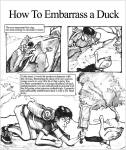  animals comic how_to_embarrass_a_duck mspandrew 