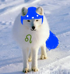  1s_th1s_you animalstuck cat_hat image_manipulation nepeta_leijon real_life solo source_needed sourcing_attempted 